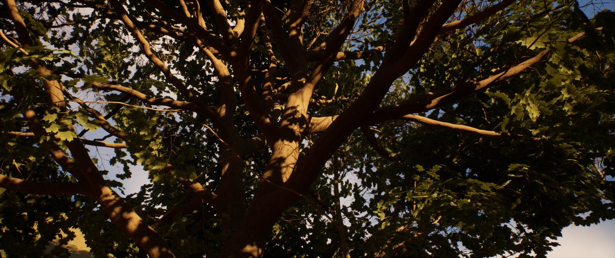 VipulFX's tweet photo. Started learning @UnrealEngine and made my first #forest environment on UE 5.2

#UnrealEngine #UnrealEngine5 #digitalart https://t.co/j2ehnbeENK