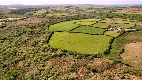 Cornwall Wildlife Trust are hiring a Head of Wider Landscapes Recovery.
The deadline for this role has now been extended until Midnight on 6th of August. 
👉 buff.ly/44Gpnf4 

#cornwalljobs #wildlifejobs #landscaperecovery #conservation #conservationjobs