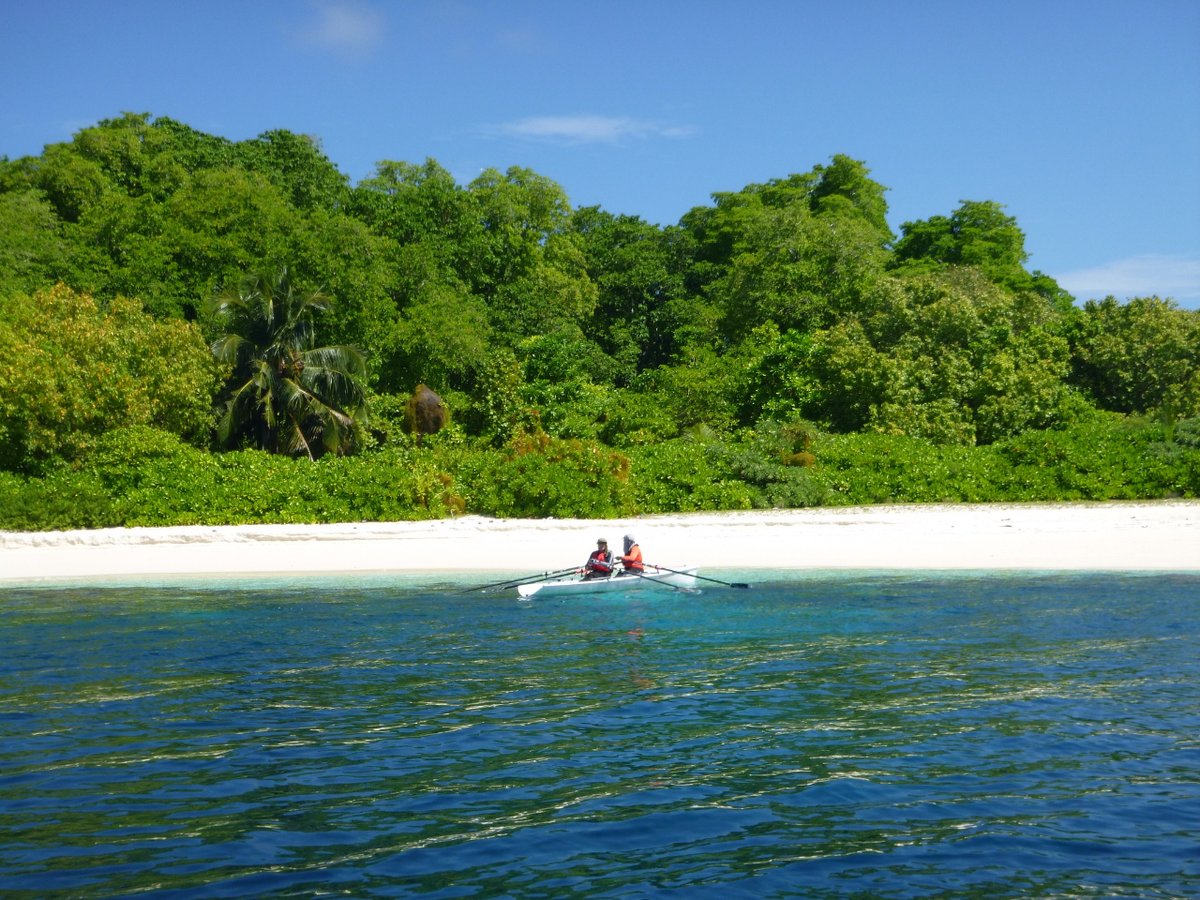 Our Panama tour is November 9th to 15th. It includes daily rows exploring protected bays and islands at the edge of the the Pacific Ocean.   Cultural and other activities to deepen your appreciation of Panama. Time to relax and recharge.  rowingtheworld.com/travel/panama-… #rowing_the_world