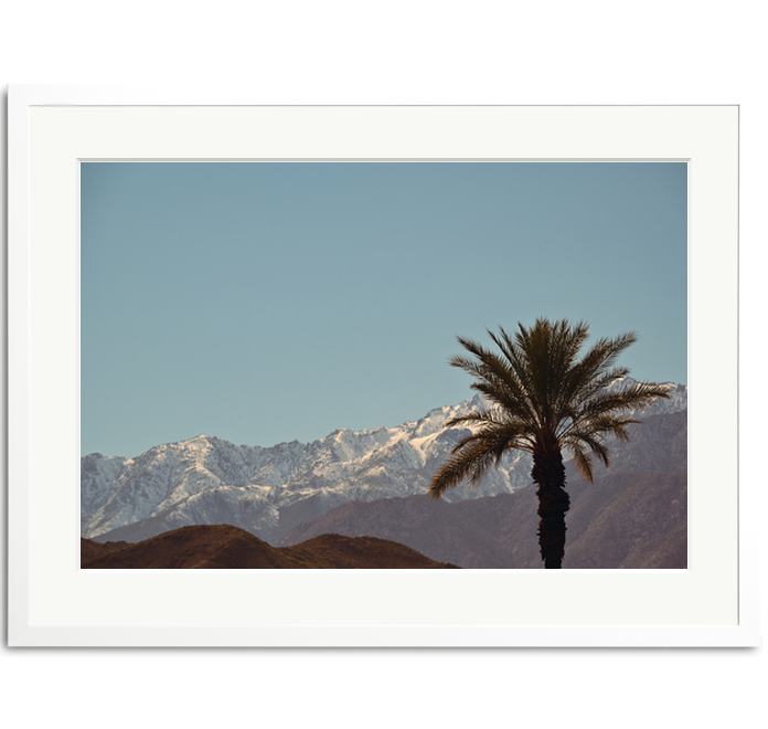 soniceditions's tweet photo. A palm tree in front of the snow-capped mountains, Palm Springs. https://t.co/FqUyn32YZ9
