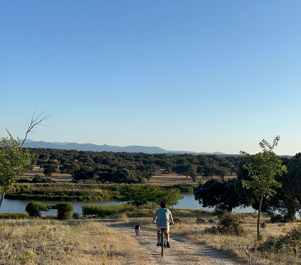 Ahora ¡coge la bici y disfruta de la naturaleza antes de que llegue la noche! #AprovecharElDía #valdepalacios  #hotelescapada
