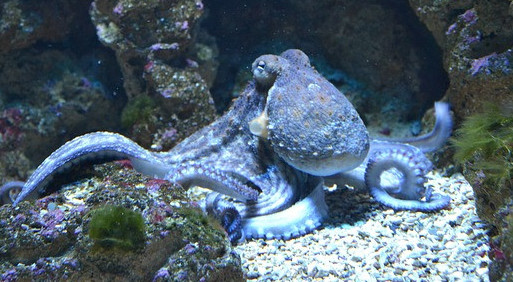 Best Bloggers 4 U tweet media