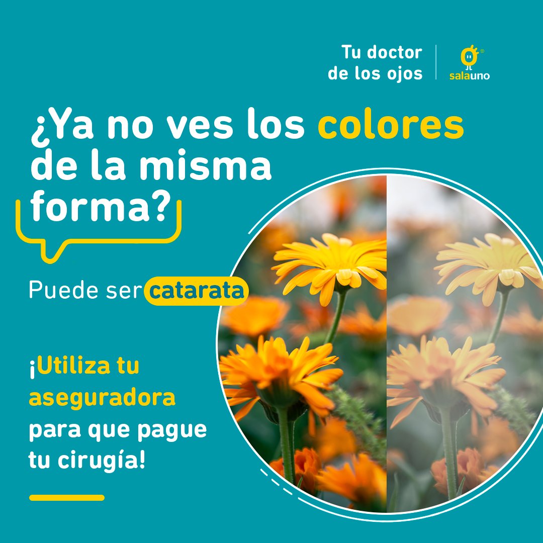 ¡Vuelve a ver la vida a todo color con la cirugía de cataratas! Despreocúpate de pagarla tú y usa tu seguro de gastos médicos.​
Nosotros te asesoramos en todo el proceso, ¡Contáctanos!​
📷(55) 6809 3892
📷convenios@salauno.com.mx​
O agenda una cita aquí: bit.ly/3QgjBNo