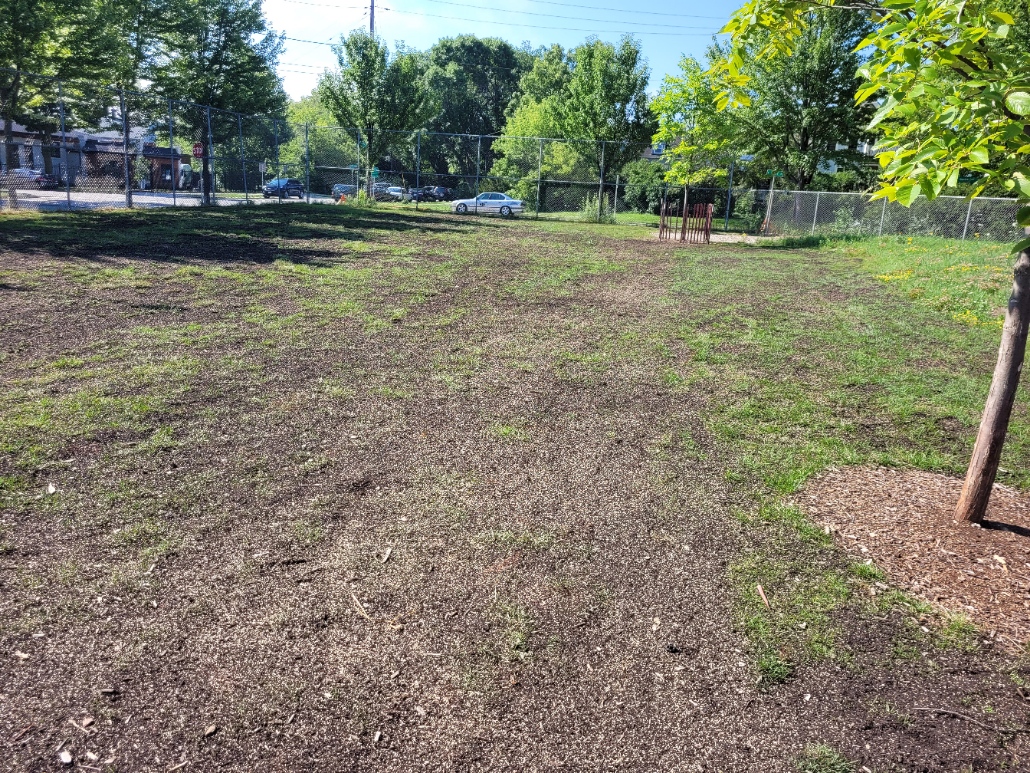 ToxicFreeMW's tweet photo. Update on the MKE Schoolyard Restoration projects: We did a weed control with organic herbicide from @ContactOrganics &amp; @Techterra  Then topdressed the yards with compost and seeded. https://t.co/uy8qqO1oHH