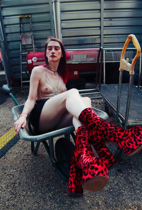 Une photo que j'adore de mon dernier d&eacute;fil&eacute;/shooting au Cirque &eacute;lectrique 🥰  📸 @poisonexquis https://t<a href="/tag/clip"class="tags"><span>#clip</span></a>