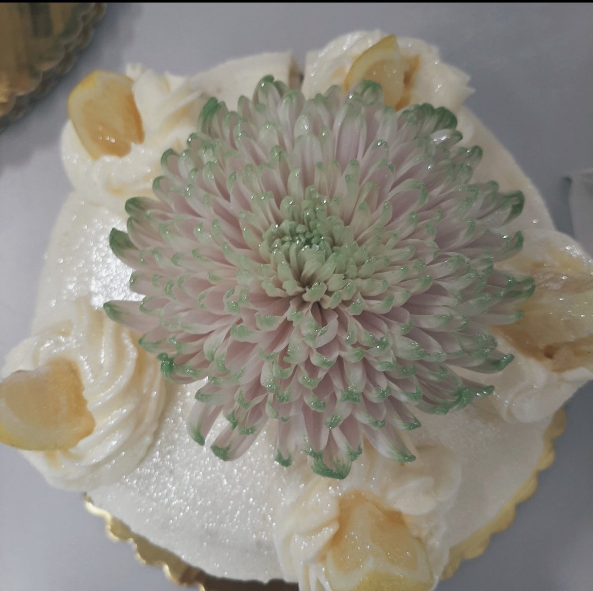 relational activism tweet media