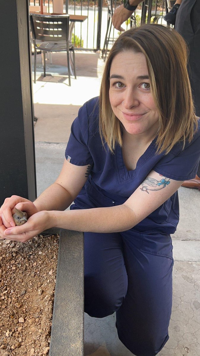 meg_bendy's tweet photo. for proof of my status as "feral disney princess" i submit these photos of me after saving a baby cardinal that got stuck inside velvet taco https://t.co/x1CJIOslBm