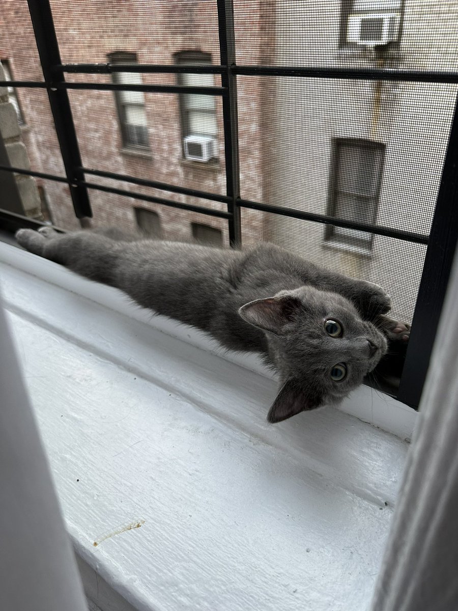 FallenOutt's tweet photo. dryer lint update https://t.co/7KShzUF2D6