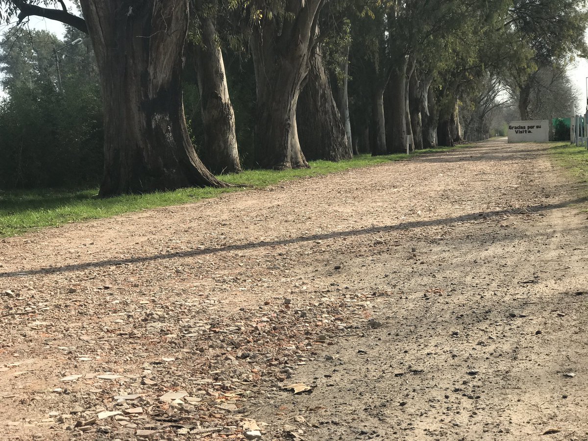 CampingFatica's tweet photo. 💪🏼🛣🧱 | Seguimos manteniendo gran parte de nuestro #Camping , reciclando escombros y reutilizándolos en las calles que se encuentran adentro de nuestro establecimiento👍🏻. 

🔹Sec. Gral. @waltercorreaok  

#CampingFATICA #FATICA 
#ExaltacionDeLaCruz https://t.co/eunPS0dwAx