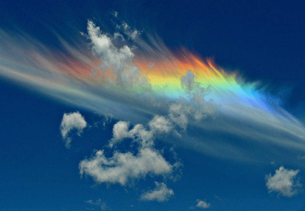 JohnMar77301444's tweet photo. Have you ever seen a fire rainbow?
“Fire Rainbows” are a rare phenomenon that only occur when the sun has to be at an elevation of 58° or greater.......
#Rainbow #FireRainbow #Nature #Gaia #Atmoshere #NYC #Brooklyn #Queens #Bronx #StatenIsland #LongIsland #WashingtonDC #USA https://t.co/pLBTVslif3