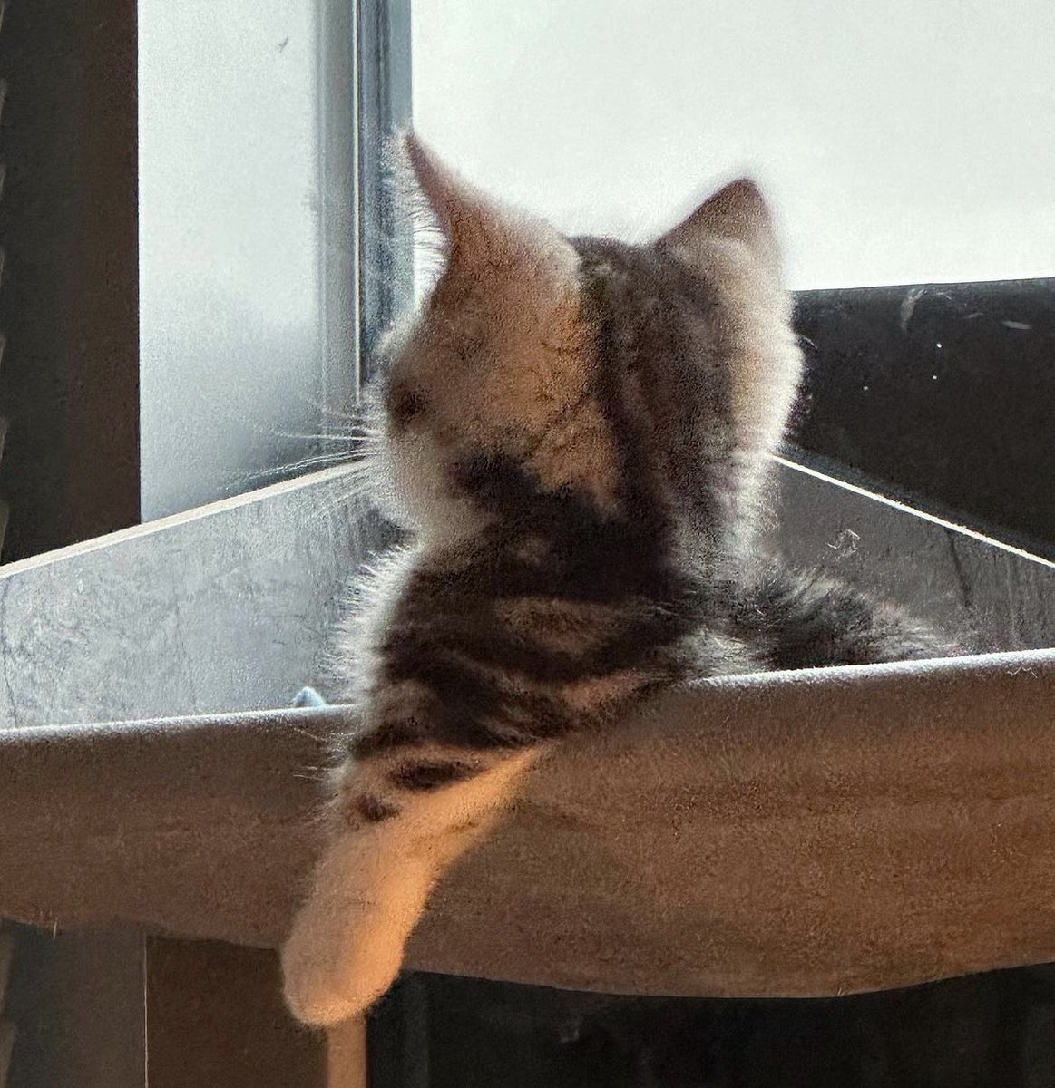 a rainy day