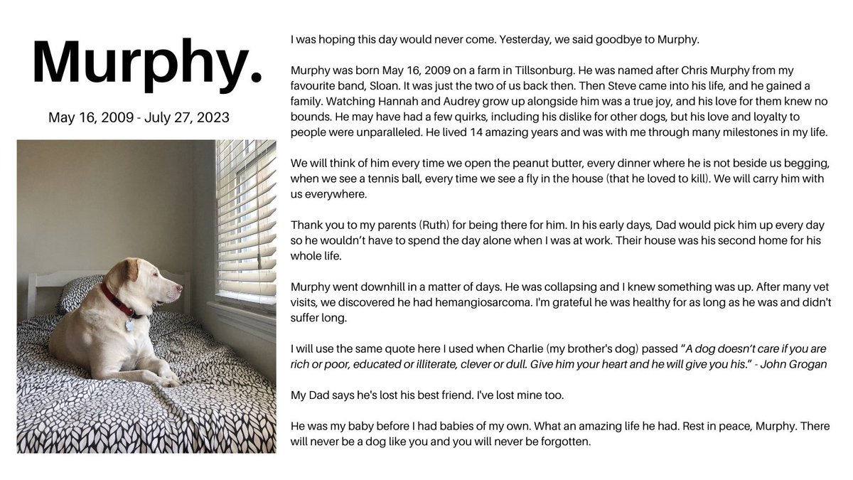 Kim Edwards Phair tweet media