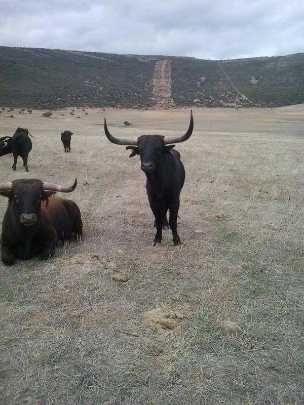 El chaval con la novia de Erasmus.