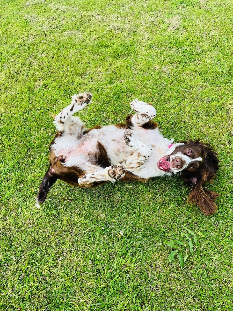 emmaspellmanOT's tweet image. Yay it’s #weekendeve ✌️&amp;amp;💚