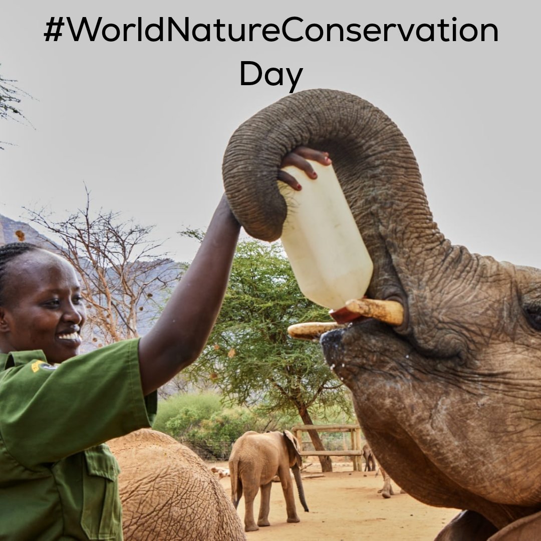 InfoBushlife's tweet photo. We all have a role to play when it comes to conserving our natural world. https://t.co/N5v8CIjVMa