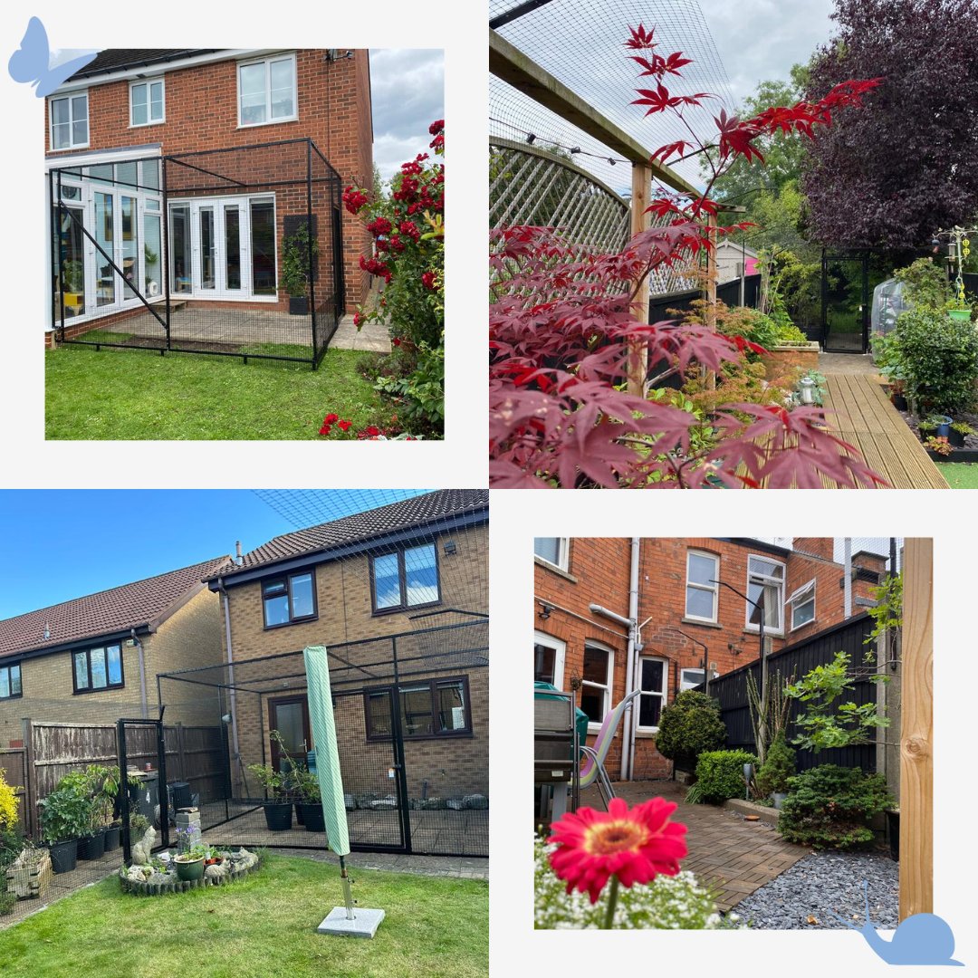 ProtectaPet's tweet photo. Just some of the fabulous ProtectaPet
Gardens we have created recently.
Contact us today for a free, no obligation quote
🌐 https://t.co/62AnyHNiDS
✉️ info@protectapet.com
📞 0800 999 4008
#ProtectaPet #WeThinkLikeCats #catfencing
#wildatheart #thegreatoutdoors #scentofadventure https://t.co/CgZEBobGNR