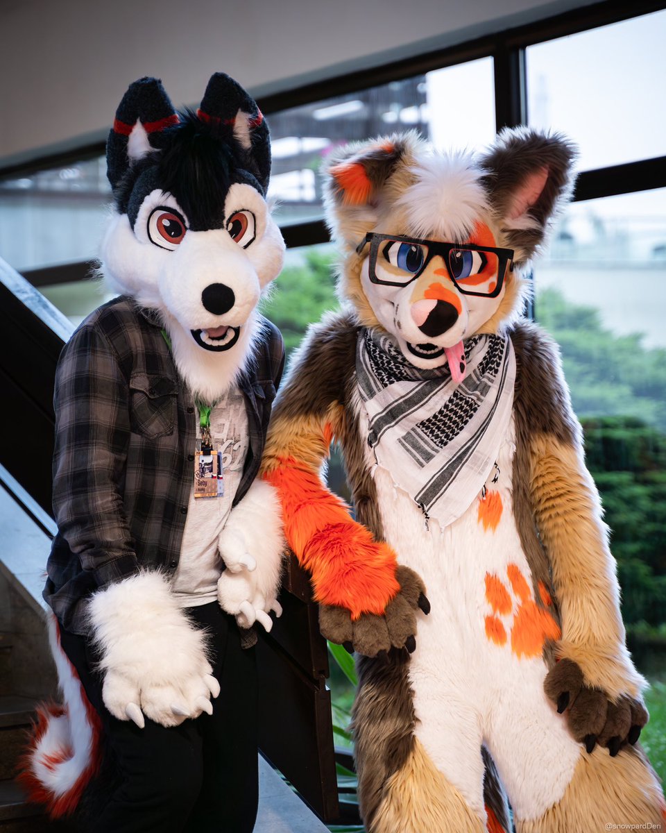 Wanna join some silly doggos on their adventures?

Who knows what we might find around #cesfur 

🐶 - <a href="/BaddydaWuff/">Baddy 🐾</a> 
📸 - <a href="/snowpardDeri/">Deri</a>