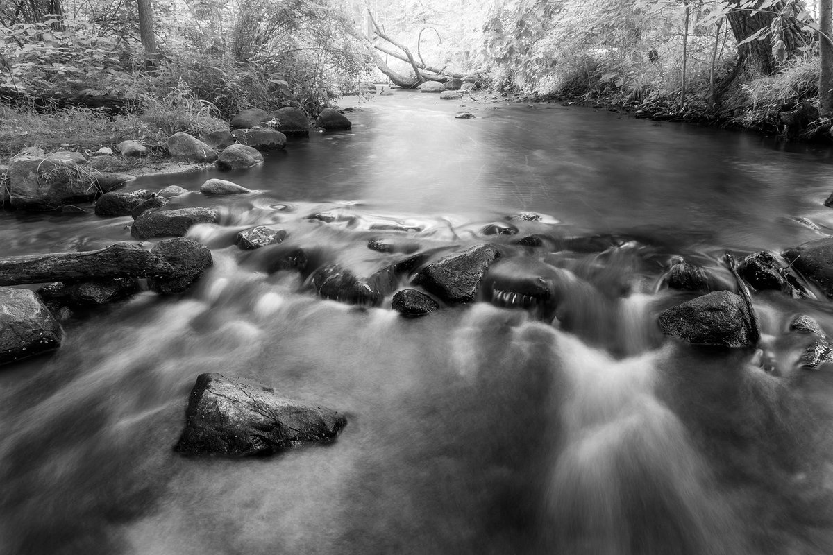 TMSkyHumPhoto's tweet image. Happy Friday! Here’s a black and white from a local creek. #landscapephotography #blackandwhitephotography #photograghy