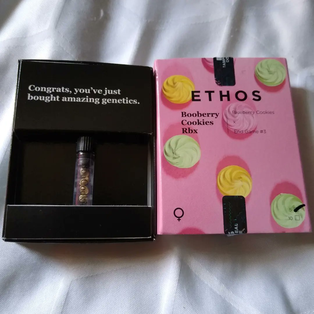 417Grown's tweet photo. 417 back in the building! I ended my last run with @EthosGenetics and am starting back up with Ethos as well. Thank you to everyone that stuck with me 💚✌️@lotusnutrients #lotusgrow #CannabisCommunity #cannabisindustry #420community #420friendly https://t.co/kEBUIKbgit