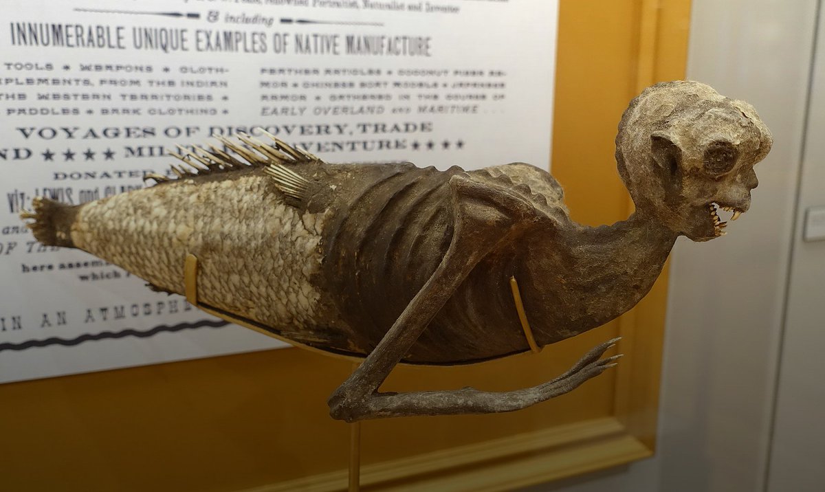 FolkloreThurs's tweet photo. Collectable #Mermaids and the Myth of the  Merrow by @JessKiddHerself for #FolkloreThursday #ThingsInJars https://t.co/UbXhCvsEJV https://t.co/sJ7qXneCLP
