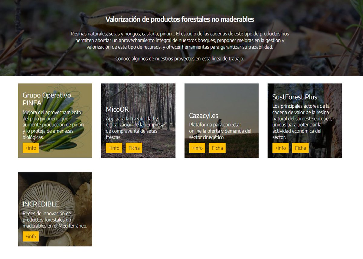 FCesefor's tweet photo. La valorización de productos no maderables —resinas, hongos, castaña o piñón— ofrece importantes líneas de estudio para innovar y realizar un mejor aprovechamiento de estos recursos.
#nomaderables #desarrollorural
Descubre nuestras líneas de trabajo🔎 https://t.co/zECBAKIHXb https://t.co/Gp78QoWwNA