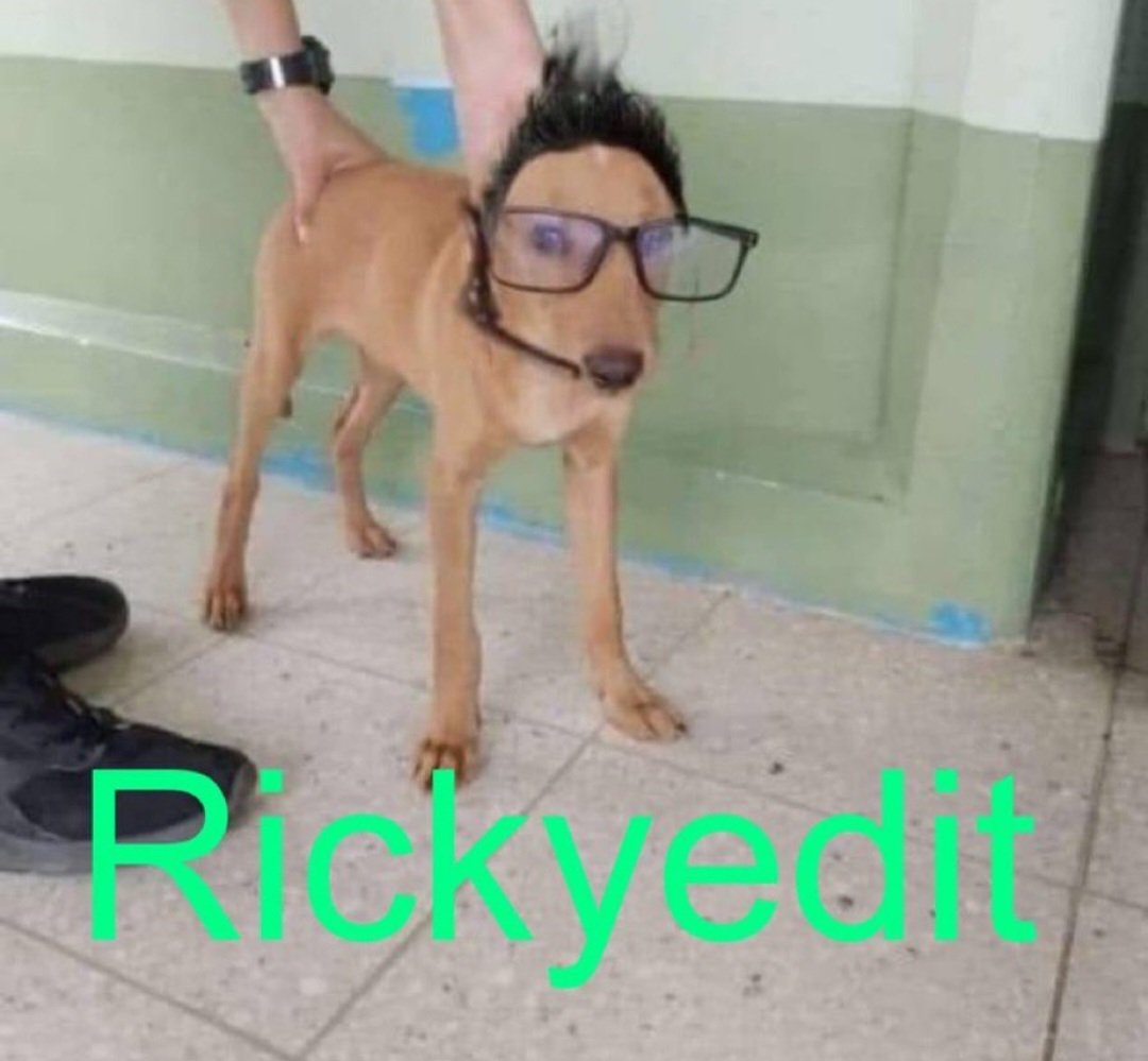 rickyedit's tweet photo. https://t.co/mrNR9Rz50u