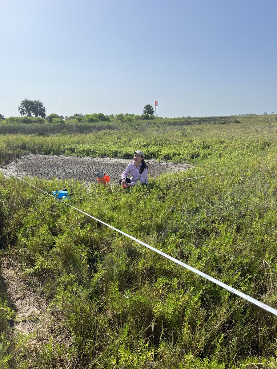 Always a blast hanging out in the marsh with <a href="/MarissaJPalmer1/">MarissaJPalmer</a> as we take on year two of our mangrove reproduction surveys after a hard freeze event! The 100+ degrees Texas heat can only slightly slow us down! #MangGang #MangroveRangeEdge 🌱🌸🌳