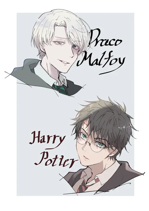 ハリポタ小説を今更ながら読破しました
ドラハリエモい…!! 