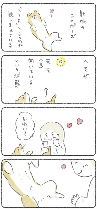 漫画も毎日更新してるよ〜♪🐕  へそどこ?な話🩷  つづき→https://3v3.blog.jp/archives/21297727.html