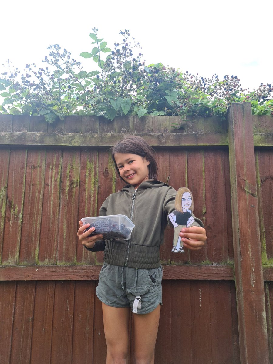 MindsetBec's tweet photo. @StMarysNewton flats Mrs Williams has been busy picking blackberries today. We can't wait to make blackberry crumble! https://t.co/i7bJOQGSs4
