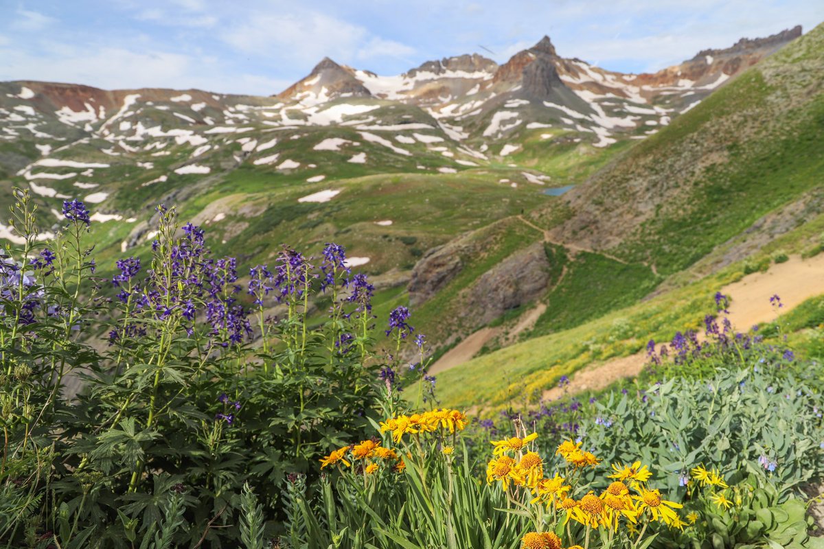 brycew_'s tweet image. Colorado day 3: my favorite hike I’ve ever done. That’s a high bar! But this trail had jaw dropping views around every corner. Just an incredible 7 miles in the San Juan Mountains 🏔️ #IceLake #IslandLake
