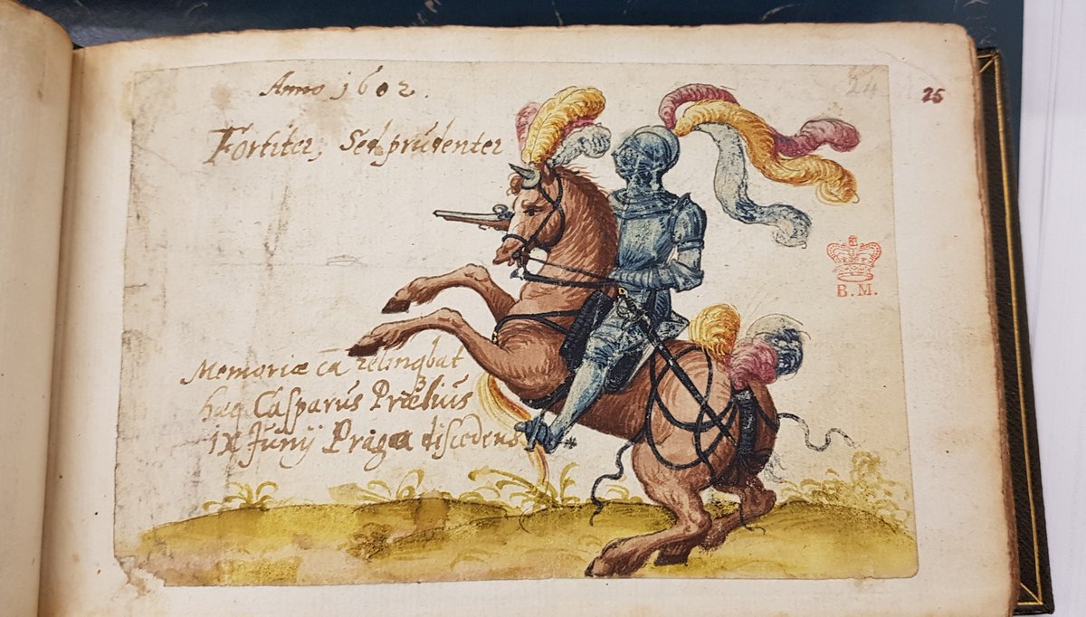 A knight in armour on his splendid steed painted in the friendship album of Dr John Hasfurt, a German doctor working in 17th-century Dorset: Harley MS 933 searcharchives.bl.uk/permalink/f/79… #BLHarley #HarleyMSS #HiddenCollections