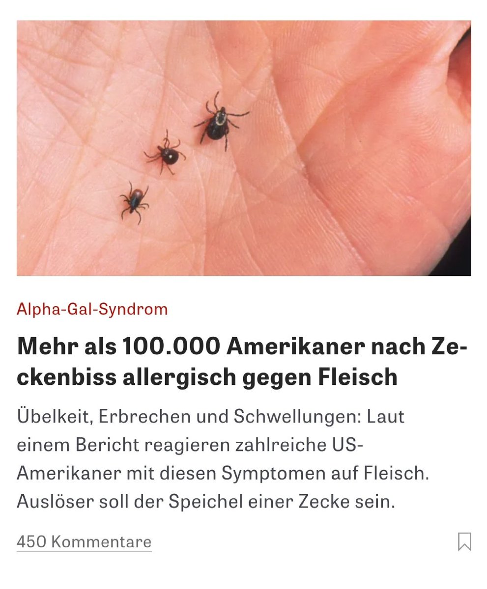 Linus Bauer tweet media