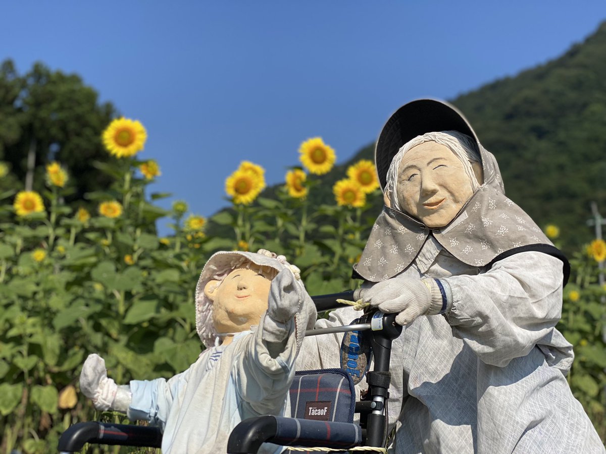 六十内集落のひまわり畑
今年もスタートです🌻
可愛い案山子さんたちが
皆様をお出迎え🌻
8月1週目が見ごろです🌻
JR山陰本線上川口駅から西へ500m🌻
#ひまわり畑 #いがいと福知山 #むそちのひまわり #奥京都 #六十内 #上川口駅