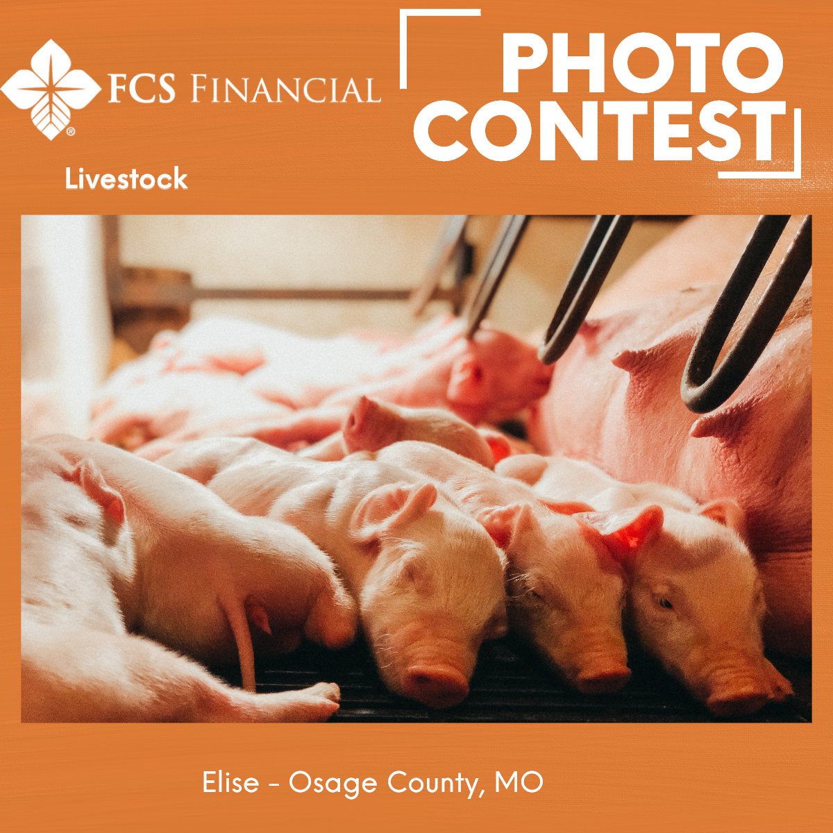 FCS Financial tweet media