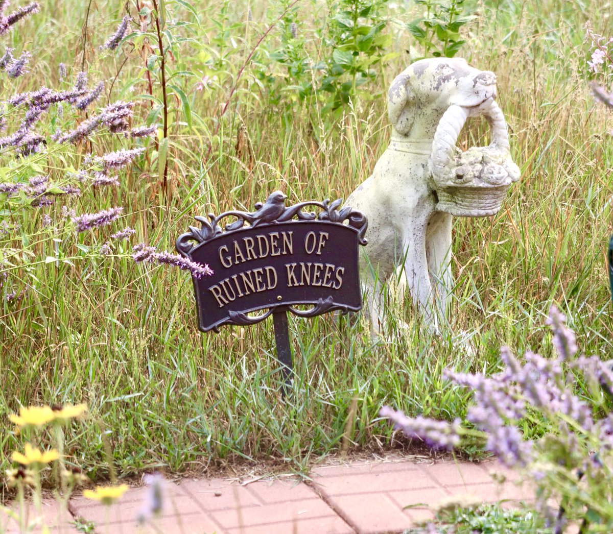 In a world that sometimes seems so uncertain, having a personal happy place is more important than ever.

What’s yours?

Read my latest on Substack! 👇

debbierussell.substack.com/p/the-happiest…