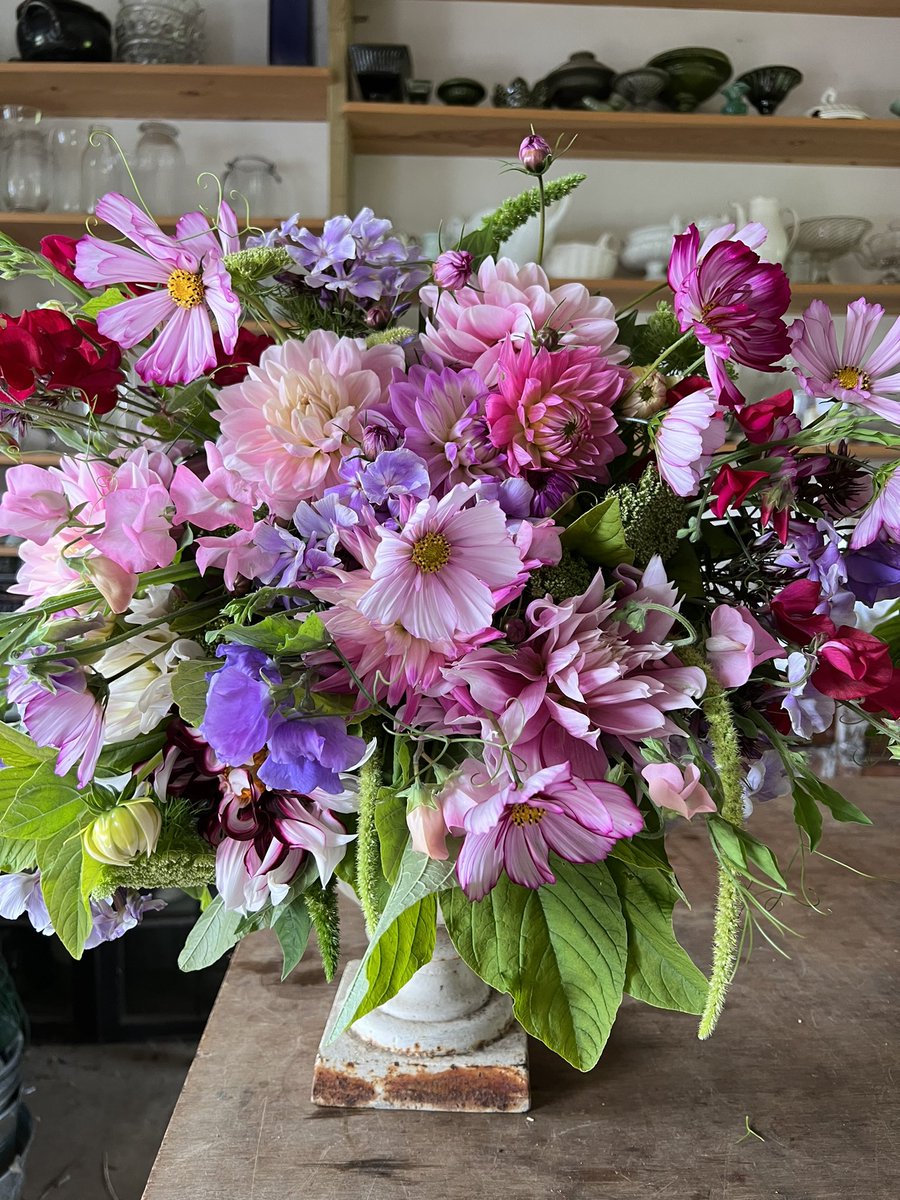 Georgie Newbery tweet media