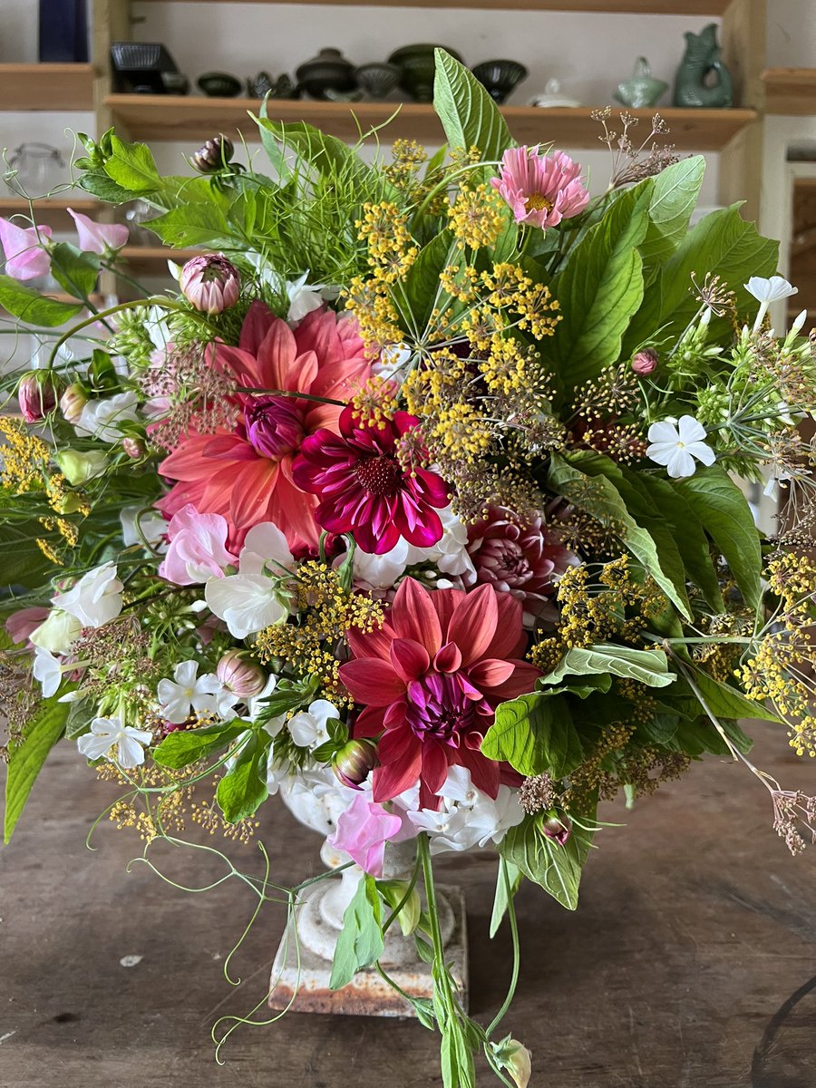 Georgie Newbery tweet media