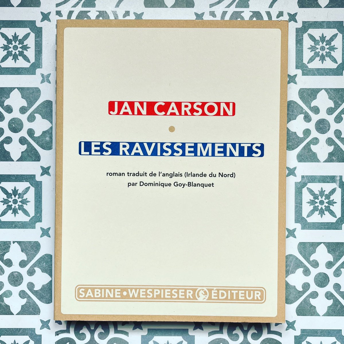 outetin's tweet photo. #VendrediLecture « les ravissements » de Jon Carson @wespieser un grand livre irlandais.

#lesravissements 
#jancarson #therapture #sabinewespieser #editionssabinewespieser #swediteur #irlande #epidemie #religion #enfance 
#litteratureirlandaise 
#rl2023 #roman @VendrediLecture https://t.co/xX7o2eKL4X