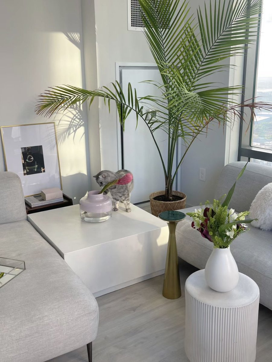 etherealdior's tweet photo. home sweet home https://t.co/zMy57AYdF7