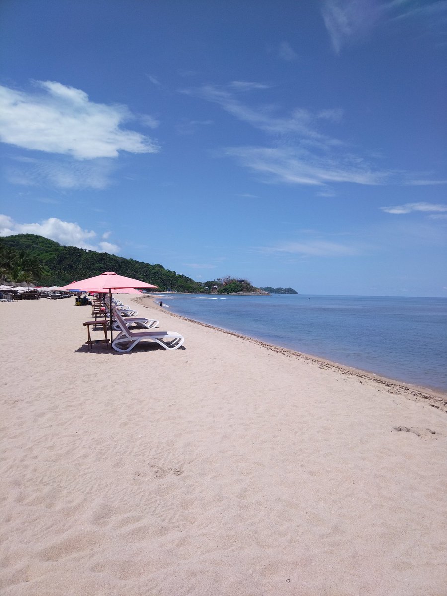 Enzaprincess1's tweet photo. This town is known as San Pancho, is on the coast of Nayarit, is nice and picturesque, with beach with waves.

#princess #yorkshire #yorkie #mexico #petfriendly #nayarit #travel #sanpancho #sanFrancisco https://t.co/9qbwcHMPsN