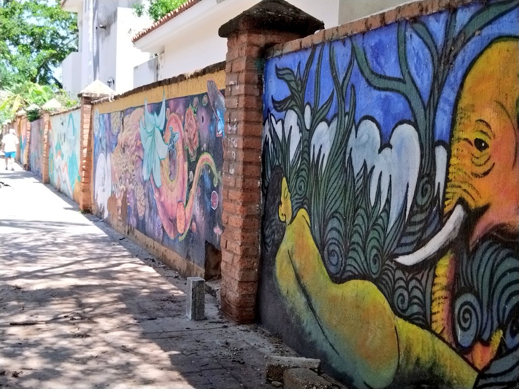 Enzaprincess1's tweet photo. This town is known as San Pancho, is on the coast of Nayarit, is nice and picturesque, with beach with waves.

#princess #yorkshire #yorkie #mexico #petfriendly #nayarit #travel #sanpancho #sanFrancisco https://t.co/9qbwcHMPsN