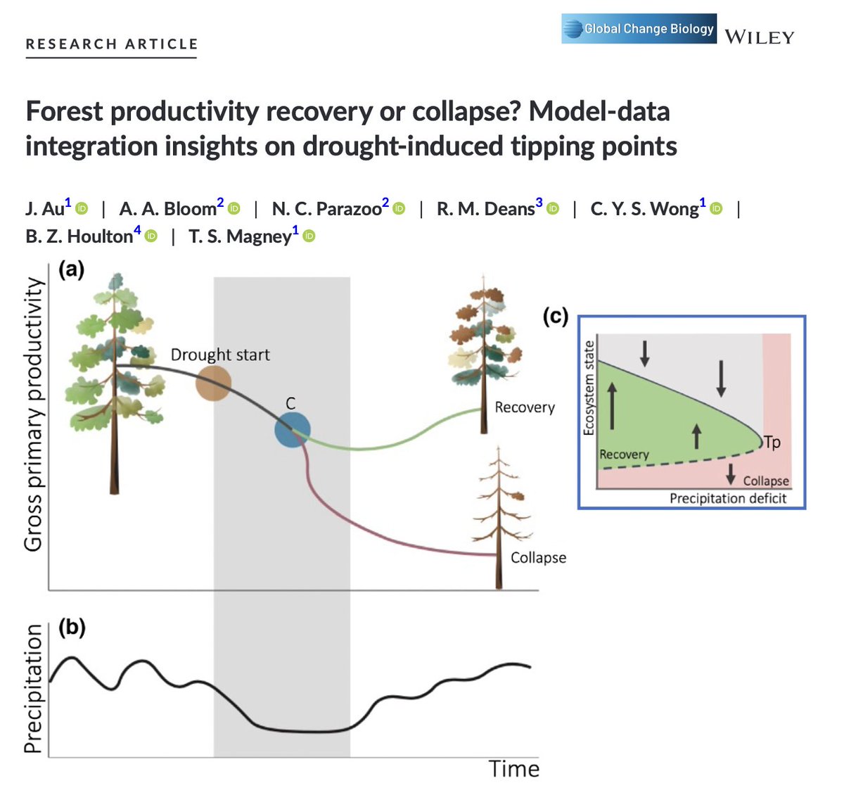 Troy Magney (@troymagney) on Twitter photo New paper led by the amazing <a href="/jessieau_/">Jessie Au</a> in <a href="/GlobalChangeBio/">Global Change Biology</a>! We use a model-data assimilation framework to assess tipping points leading to forest ecosystem collapse
<a href="/UCDavis_CeDAR/">UC Davis CeDAR</a> <a href="/UCDavisPlants/">UCDavisPlants</a> <a href="/NASAJPL/">NASA JPL</a>
<a href="/BenHoulton/">Benjamin Z Houlton 🌍</a> <a href="/ncparazoo/">Nicholas Parazoo</a> <a href="/ChrisYSWong/">Chris Wong</a>
onlinelibrary.wiley.com/doi/10.1111/gc… New paper led by the amazing <a href="/jessieau_/">Jessie Au</a> in <a href="/GlobalChangeBio/">Global Change Biology</a>! We use a model-data assimilation framework to assess tipping points leading to forest ecosystem collapse
<a href="/UCDavis_CeDAR/">UC Davis CeDAR</a> <a href="/UCDavisPlants/">UCDavisPlants</a> <a href="/NASAJPL/">NASA JPL</a>
<a href="/BenHoulton/">Benjamin Z Houlton 🌍</a> <a href="/ncparazoo/">Nicholas Parazoo</a> <a href="/ChrisYSWong/">Chris Wong</a>
onlinelibrary.wiley.com/doi/10.1111/gc…
