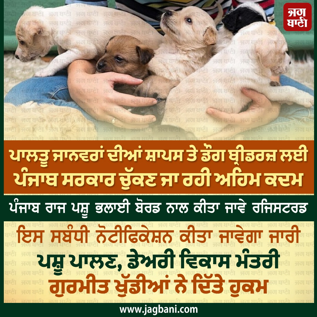 JagbaniOnline's tweet photo. ਪਾਲਤੂ ਜਾਨਵਰਾਂ ਦੀਆਂ ਸ਼ਾਪਸ ਤੇ ਡੌਗ ਬ੍ਰੀਡਰਜ਼ ਲਈ ਪੰਜਾਬ ਸਰਕਾਰ ਚੁੱਕਣ ਜਾ ਰਹੀ ਅਹਿਮ ਕਦਮ
#PunjabGovernment #ImportantSteps #Pet #ShopsDogBreeders #jagbani https://t.co/hUwIwdIUma