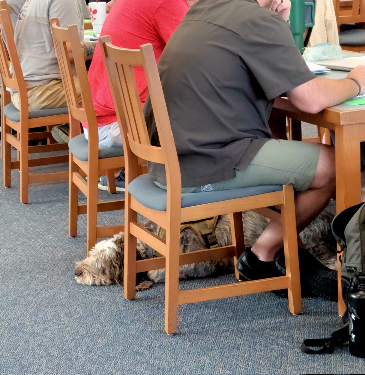 montra_rogers's tweet image. In Fayette CPS  with 25 participants, well 26 if you count the big dog. 
Session Title: This is Disciplinary  Literacy, one of our PL Menu offerings. @SocialStudiesSS
#ActiveClassrom 
#PartnerWithAPurpose #PartnershipsAndInstruction #DisciplinaryLiteracy