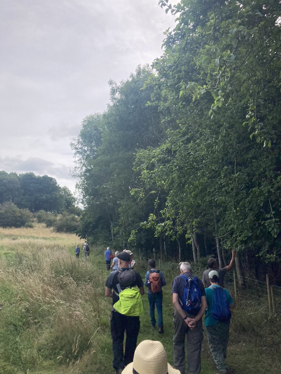 JamieAudsley's tweet photo. Great to be joining our @HerefordshireWT #butterflies of #Woolhope Dome visit today. 

A fantastic experience and thank you to our local members and naturalists leading today 👏🏻🙌🏻💚🦡 https://t.co/wuWtX4erES