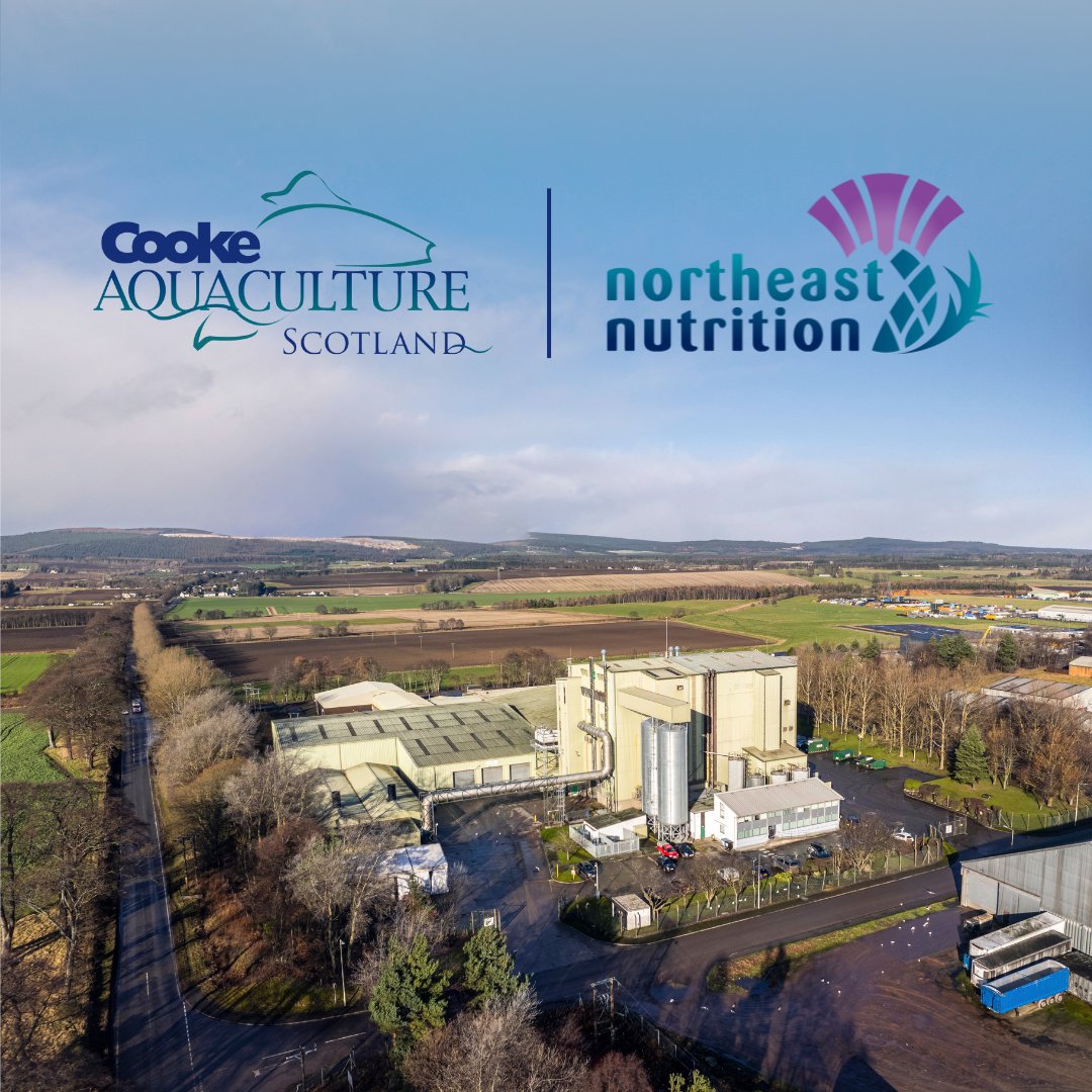 At Cooke we are committed to the communities we call home and are delighted to join our in-house feed division, Northeast Nutrition Scotland, in sponsoring the #Invergordon Golf Club Gents Open, 30 July.

More on our Invergordon Feed Mill: bit.ly/451o8XZ

<a href="/ScottishGolf/">Scottish Golf</a>