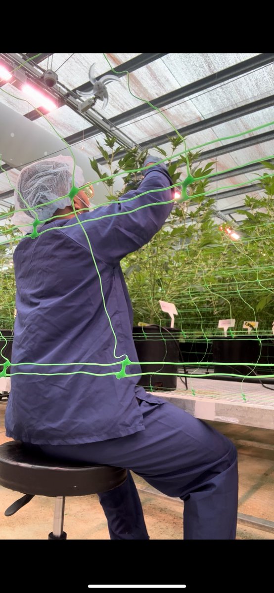 Dmg3_'s tweet image. 🍁🤍