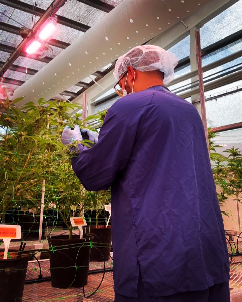 Dmg3_'s tweet image. 🍁🤍