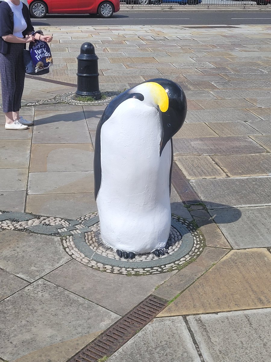 One for <a href="/WorldBollard/">World Bollard Association™</a> spotted in Dundee!